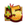 mega moolah megaways scatter symbol icon