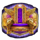 neon valley studios age of conquest scatter symbol icon