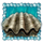 pearl lagoon scatter icon