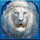 roaring lions brasil jackpot scatter symbol icon