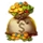 rtg coyote cash 2 free spin scatter symbol icon