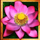 thai flower scatter symbol icon