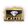 the vip scatter symbol icon