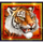 tiger and dragon cash on reels scatter 2 symbol icon
