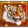tiger and dragon multiplier scatter 1 symbol icon