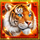 tiger and dragon super bonus scatter symbol icon