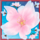 wgs cherry blossoms scatter symbol icon