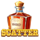 wild coin saloon scatter symbol icon