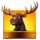 wild moose bonanza xl money scatter symbol icon