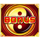 yin yang wild twins bonus scatter symbol icon