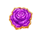zeus power partners scatter 3 symbol icon