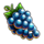 100 extra crown grapes symbol icon