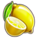 100 extra crown lemon symbol icon