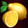 10 burning heart lemon symbol icon