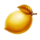 10 golden fruits golden lemon symbol icon