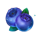 10 hot wilds boost berry symbol icon