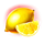 2023 hit slot lemon symbol icon
