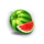 20 blazing clover watermelon symbol icon