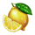 20 hot super fruits lemon synbol icon