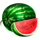 20 hot super fruits melon synbol icon