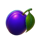 20 royal hot lucky coin plum symbol icon