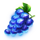243 crystal fruits deluxe grape symbol icon