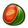 243 famous multifruits watermelon symbol icon
