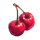 243 fruity zen cherry symbol icon