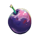 243 fruity zen plum symbol icon
