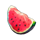 243 fruity zen watermelon symbol icon