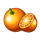243 joker fruits orange symbol icon
