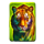 24k gold tiger tiger symbol icon