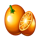 27 joker fruits orange symbol.png icon