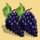 27 wins grapes symbol icon