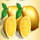27 wins lemons symbol icon