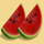27 wins watermelon symbol icon