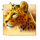 3 african drums cheetah symbol icon