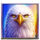 3 apex treasures eagle symbol icon