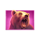 3 charge bison bear symbol icon