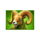 3 charge bison ram symbol icon