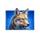 3 charge bison wolf symbol icon