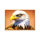 3 charge buffalo eagle symbol icon