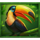 3 claws of aztec fire hold and win jungle toucan symbol icon