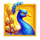3 coin golden peacock peacock symbol icon
