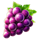 3 frozen crowns purple grapes symbol icon