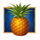 3 tree tricksters 2 pineapple symbol icon