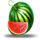 3 wild jokers melon symbol icon