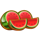 3x5 hold the spin watermelon symbol icon