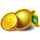 3x5 royal piggy hold the spin lemon symbol icon
