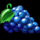 40 burning clover grape symbol icon